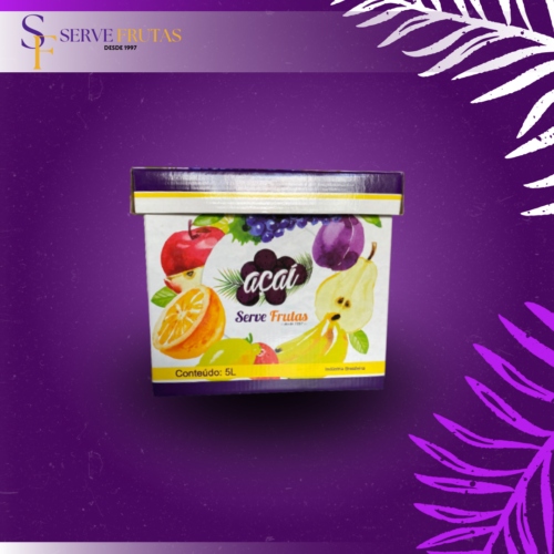 Caixa creme de açai de 5 Litros